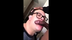 White Guy Sucking Bbc