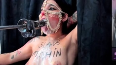 Bubble butt amateur goes solo with a toy in the powder room