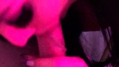 Pov amateur blowjob action