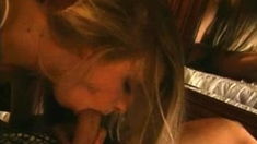 Brunette hardcore blowjob