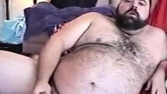 Hairy Chubby Bear Jo1